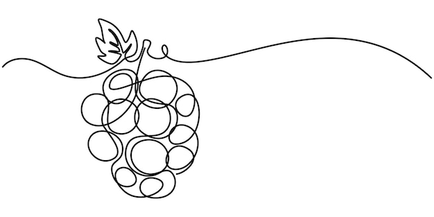 Continuous Line Drawing Of Grapes On A Transparent background Grape drawn in one continuous line