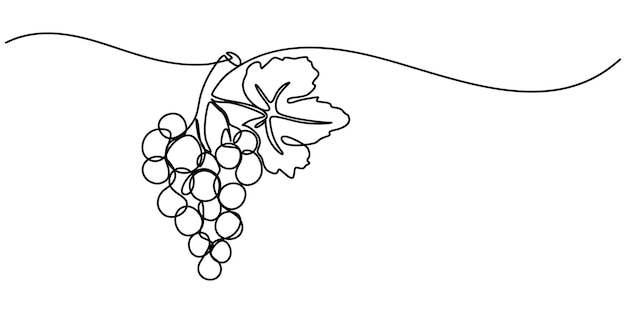 Continuous Line Drawing Of Grapes On A Transparent background One line drawing grape fruits Single