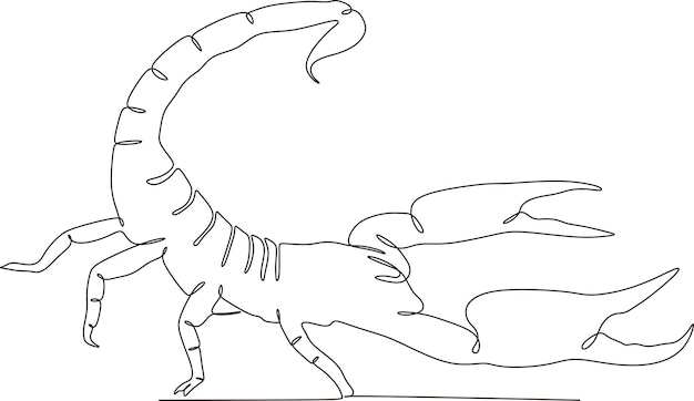 continuous lines simple simple scorpions