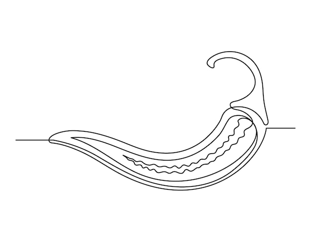 Continuous one line shili pepper in section