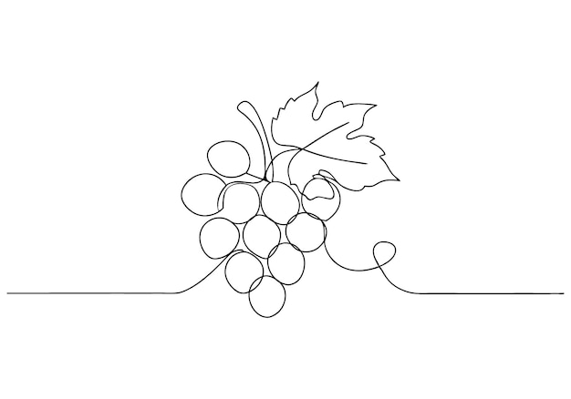 Continuous OneLine Drawing of Grapes Minimalist Fruit Art