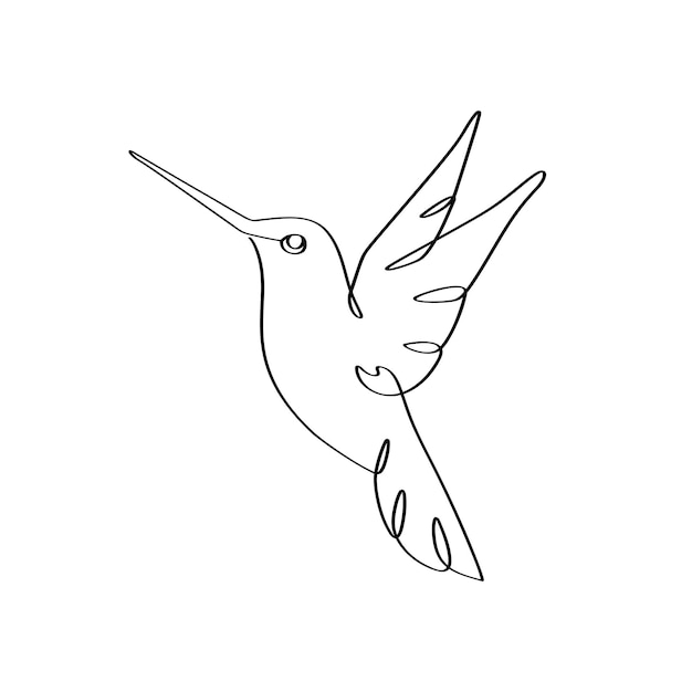 continuous oneline drawing of humming bird colibri song bird abstract flying small bird outline