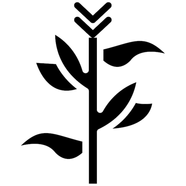 Cornstalks Vector Illustration