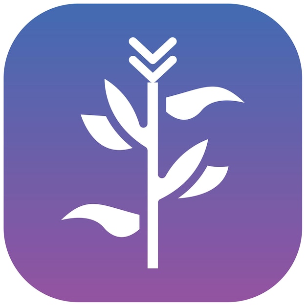 Cornstalks Vector Illustration