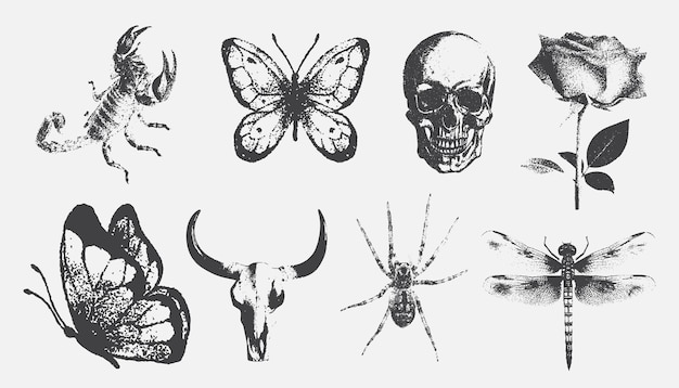 Creepy Halloween Scorpion spider butterflies Skull Dragonfly
