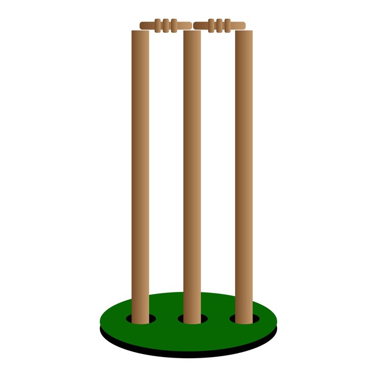 Cricket wicket ball games design
