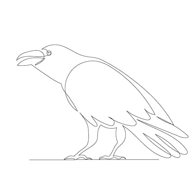 Crow drawing by one continuous line vector