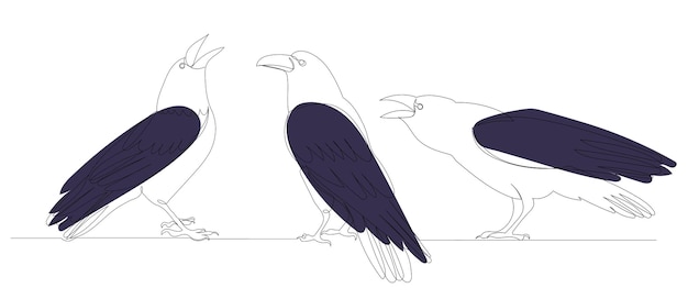 Crows continuous line drawing sketch vector