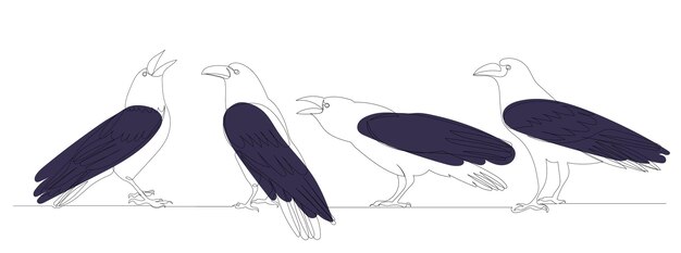 Crows drawing in one continuous line isolated vector