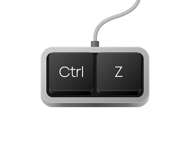 Ctrl Z or Copy Paste button combination Computer Keyboard Word on pc computer keyboard Vector