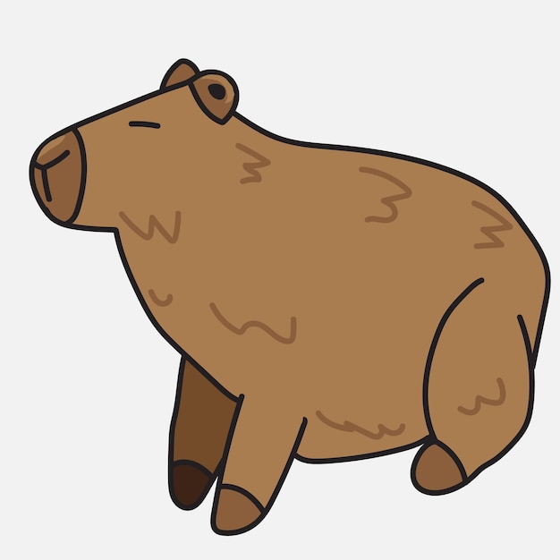 cute cabybara with white background
