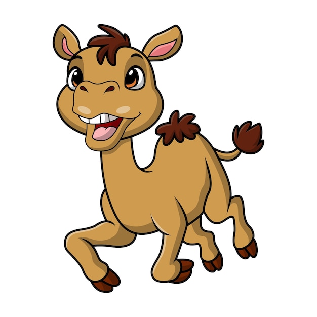 Cute camel cartoon on white background