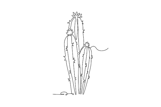 cute exotic tropical spiny cactus plant