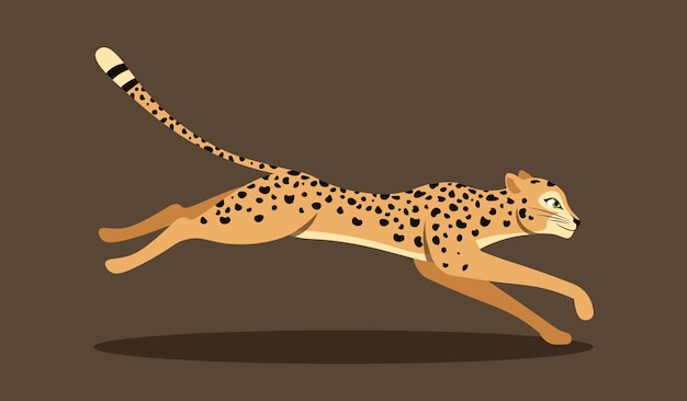 Cute running leopard colorful poster with fast running cheetah spotted predator inhabitant of