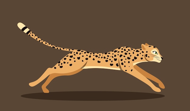 Cute running leopard side view of fast spotted cheetah hunting for prey colorful poster with wild
