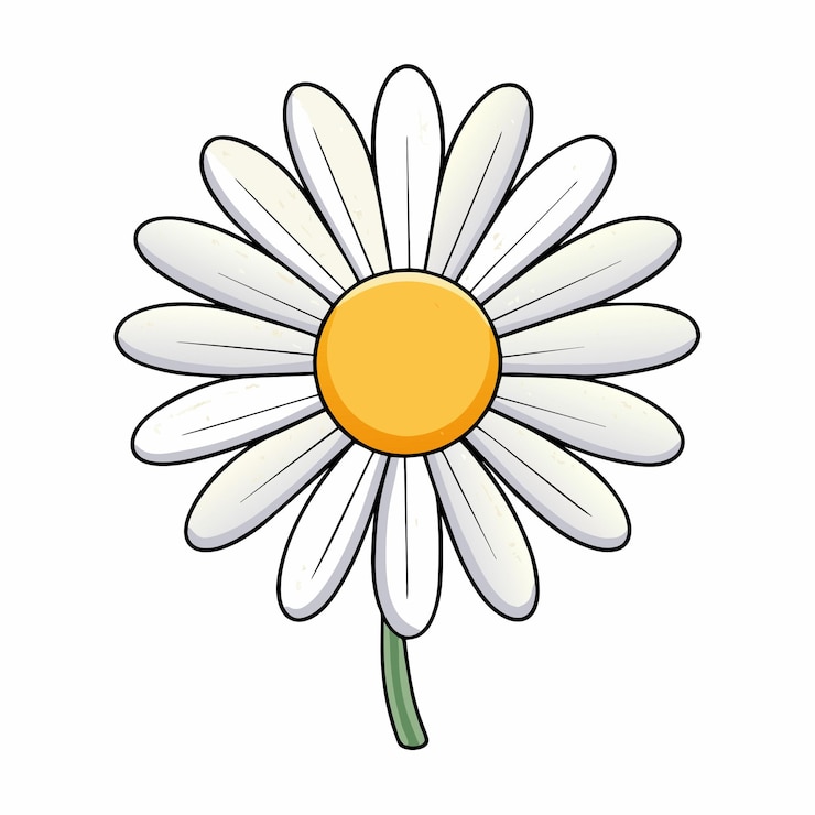 Vektör daisy flower cartoon style icon vector clipart illustration
