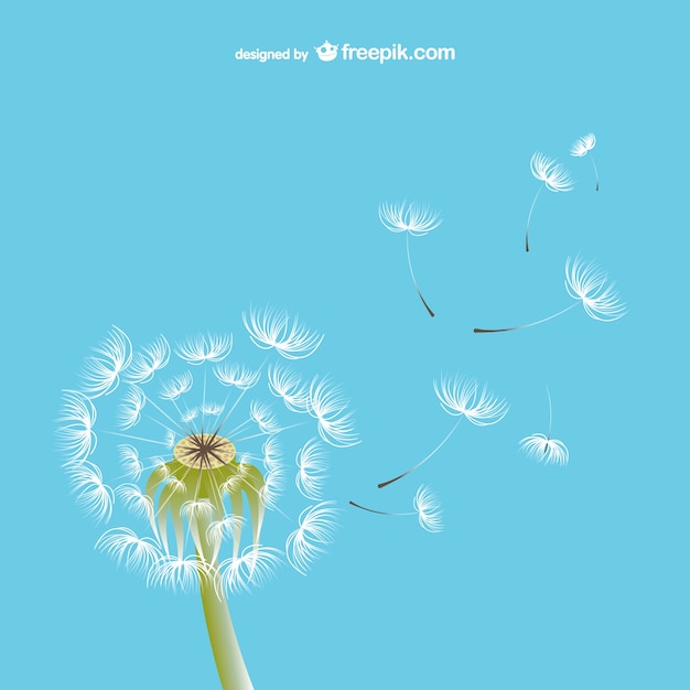 Dandelion illustration vector