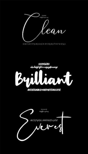 Decorative Set Creative Vector Script Brush Display Alphabet Fonts Design Pack Vector Illustration