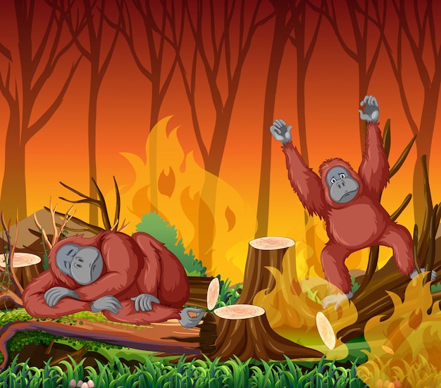 deforestation scene with monkey and wildfire