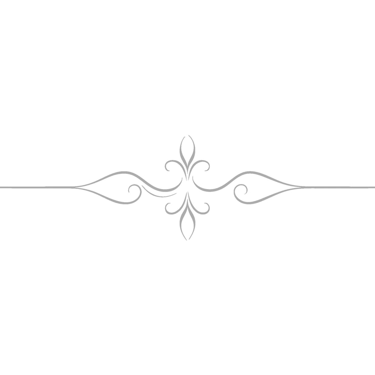 Vektör dekoratif çizgi simetrik süsleme kenarlığı design çiçek motif soyut gelişim i̇şlemeli telkari öğeleri