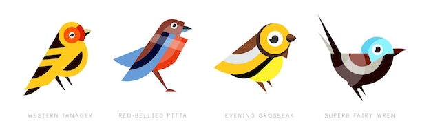 Different bird flat icon with name vector set