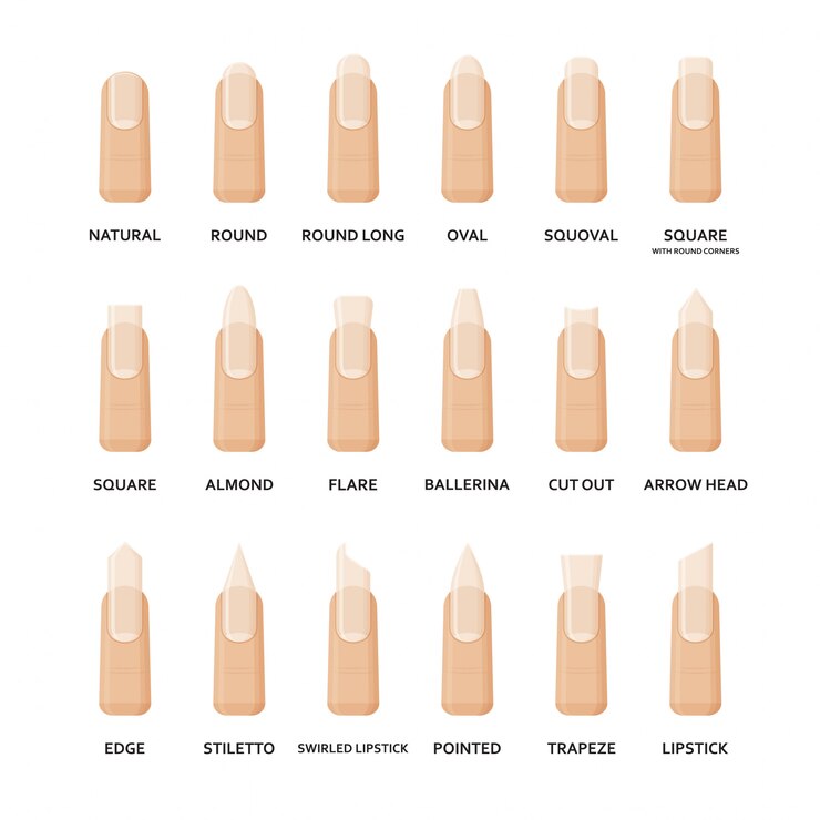 Vektör different shapes of nails set. collection of fashion female nail forms. professional manicure.  illustration.
