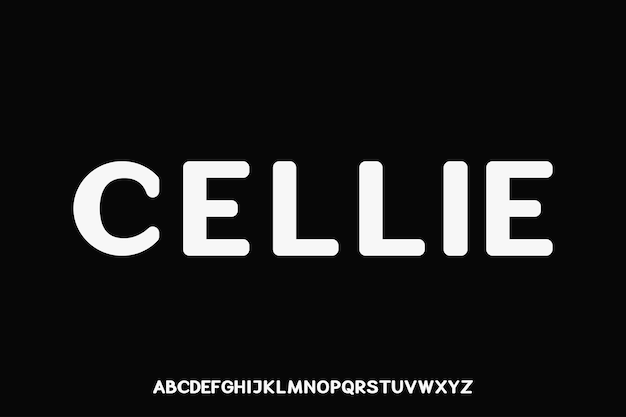 Display font vector design suitable for headline logotype and many more