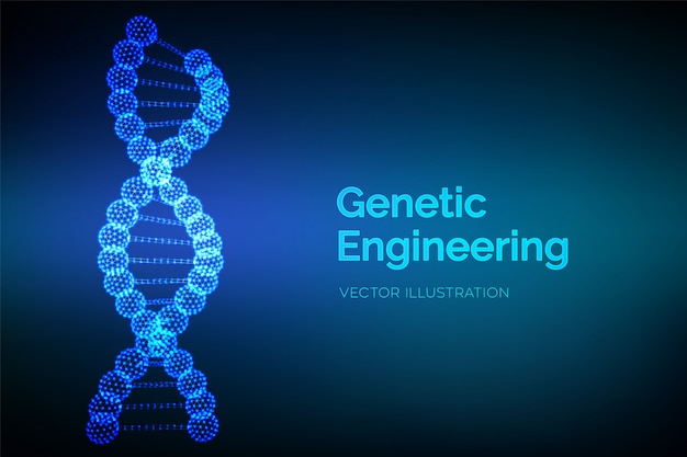 DNA-kodesekvens. Wireframe DNA-molekyler struktur mesh.