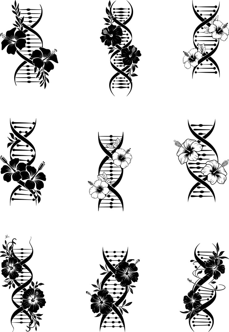 Vektör dna molecule svg bundle flower dna svg floral biology svg