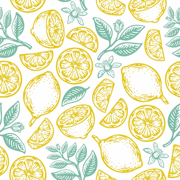 doodle hand drawn lime and lemon seamless pattern. tropical summer citrus fruit vintage style.