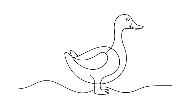 Duck continuous line art isolated on white background