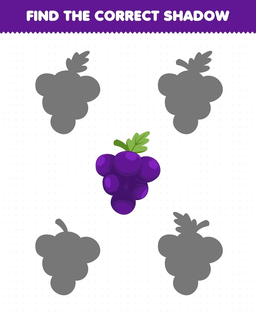 Education game for children find the correct shadow set of cartoon fruit grape