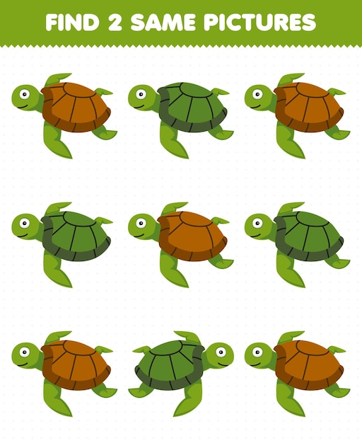 Education game for children find two same pictures of cute cartoon turtle printable underwater worksheet