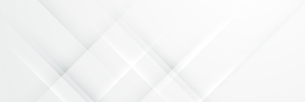 elegant abstract white banner background with shiny lines
