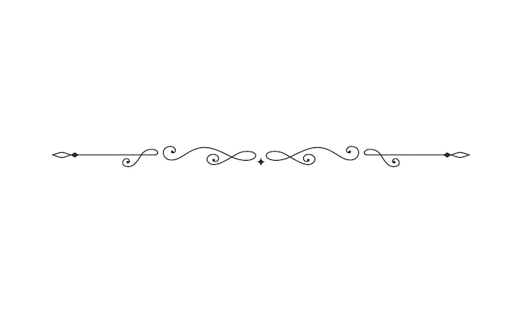 Vektör elegant decorative line border design