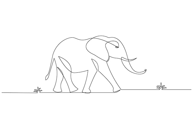 Elephant continuous line drawing of isolate animal wildlife outline simple vector icon