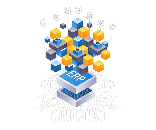 ERP network business developer infographic 3d illustration flat isometric