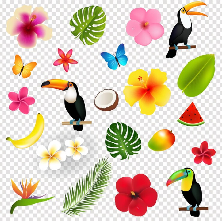Vektör etropicalflowersandpalmleavesandfruitsisolatedtransparentbackground_10_m_230405