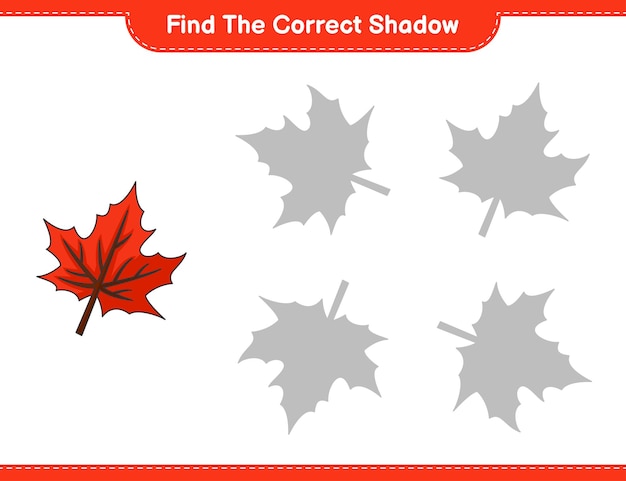 Find the correct shadow Find and match the correct shadow of Maple Leaf Educational children game