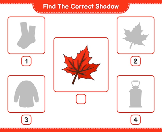 Find the correct shadow Find and match the correct shadow of Maple Leaf Educational children game
