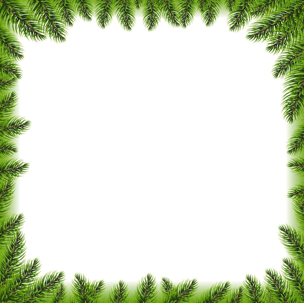 Fir Tree Branch Border Isolated With Gradient Mesh Vector Illustration