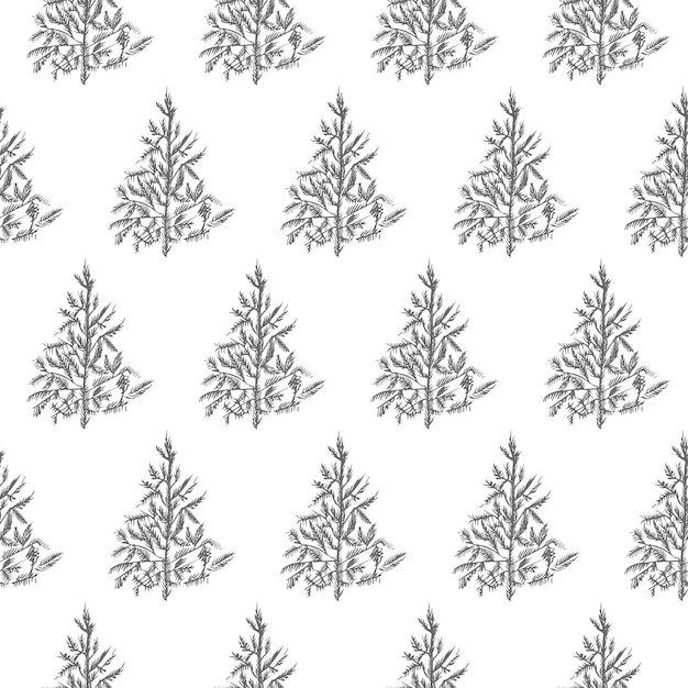 fir tree seamless pattern isolated on white background