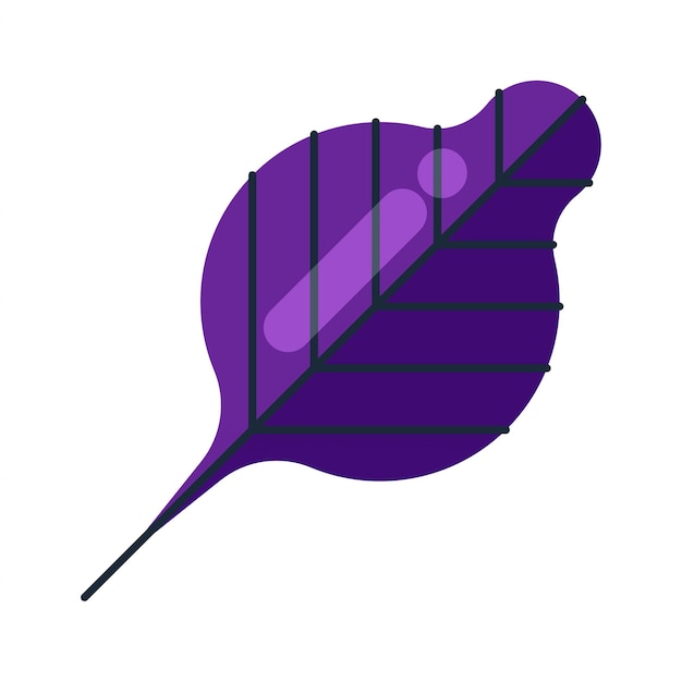 Flat colorful leaf shape design asset element
