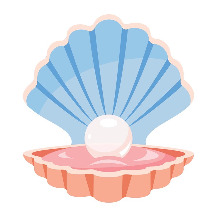 Vektör flat drawing of a clam