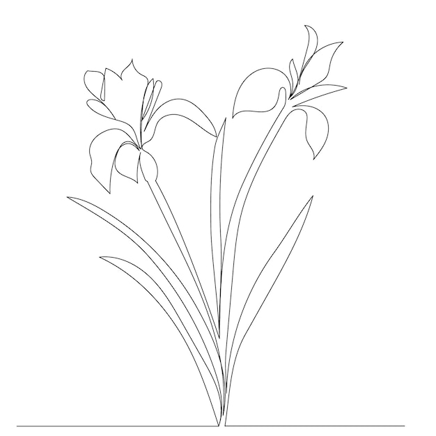 Flower one line drawing isolated