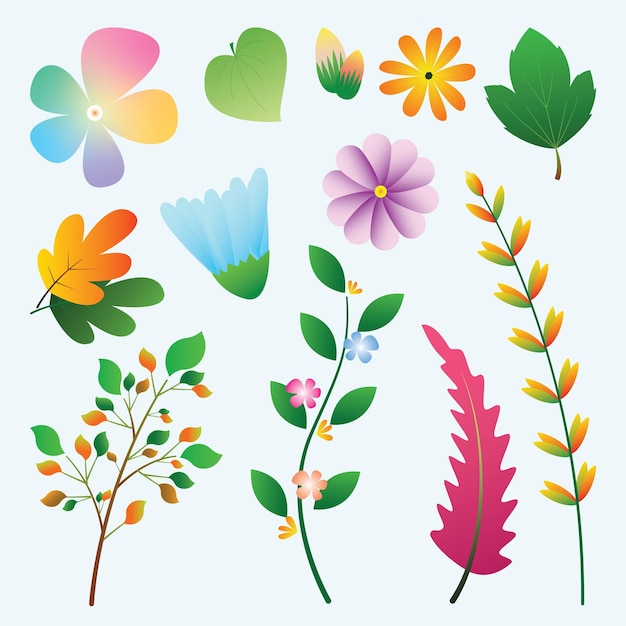 Flower Set Collection Floral Color Design