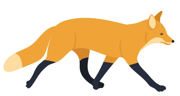 Fox flat design isolated on white background vector