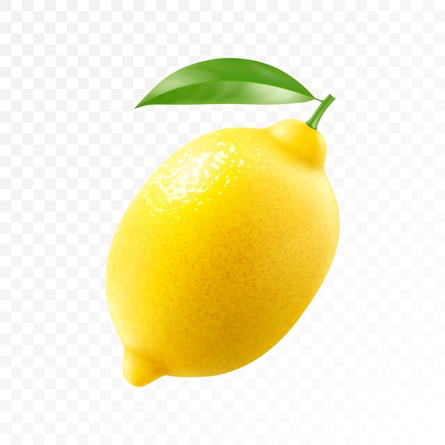 Fresh lemon with green leaf isolated on transparent background Realistic 3d vector illustration Fully editable handmade mesh