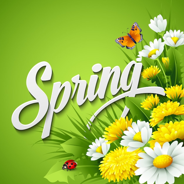 Fresh spring with  dandelions and daisies