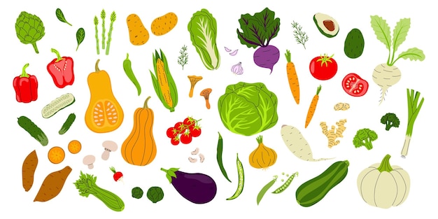Fresh vegetables displayed in a vibrant arrangement showcasing healthy eating options from a market